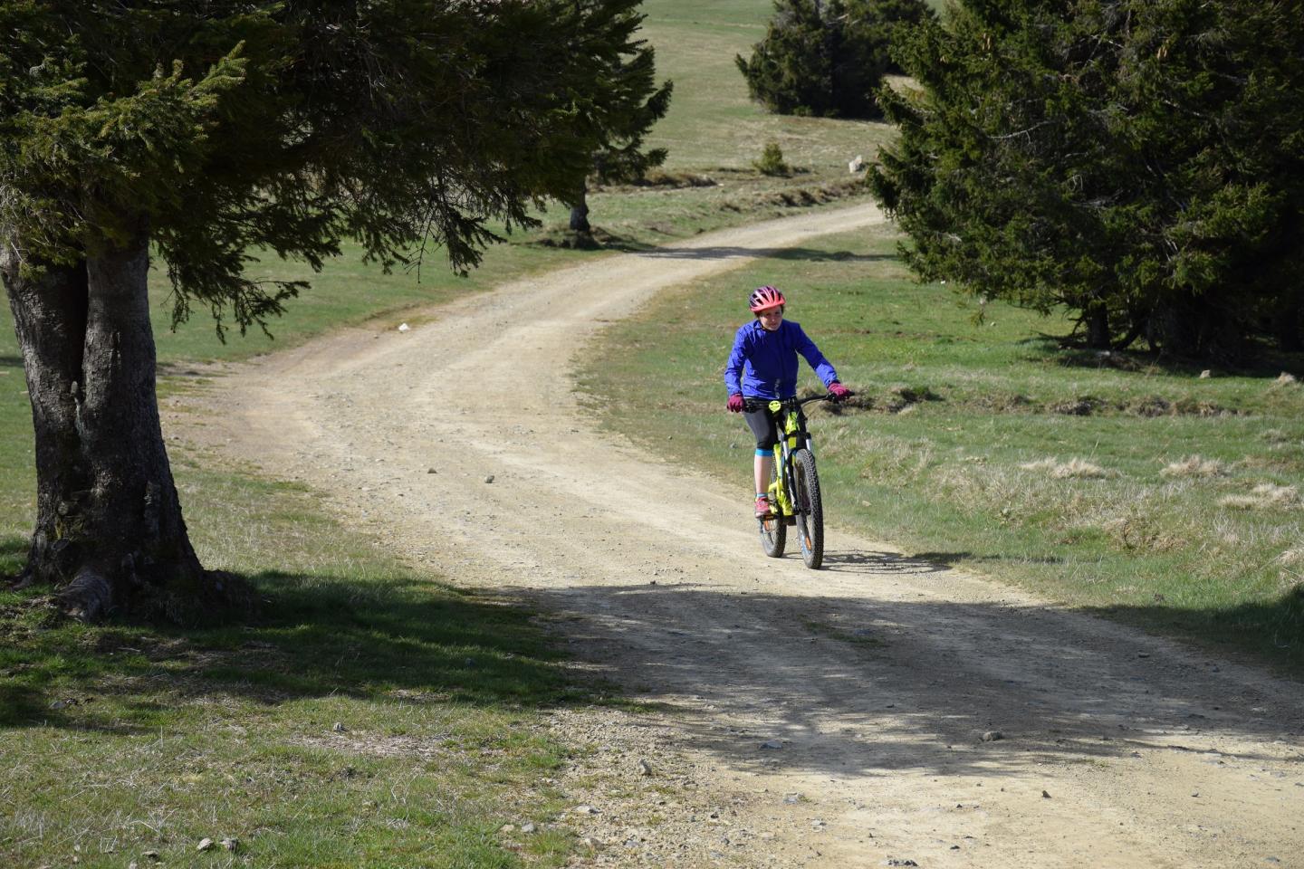 La montée au Markstein