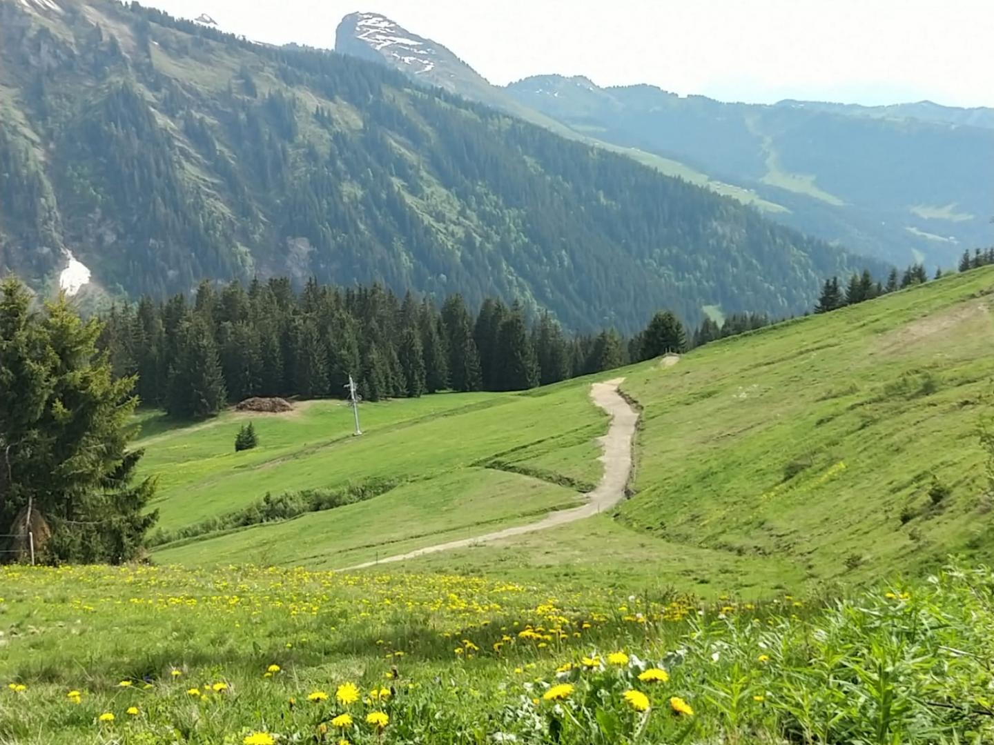 Avoriaz - Alpage