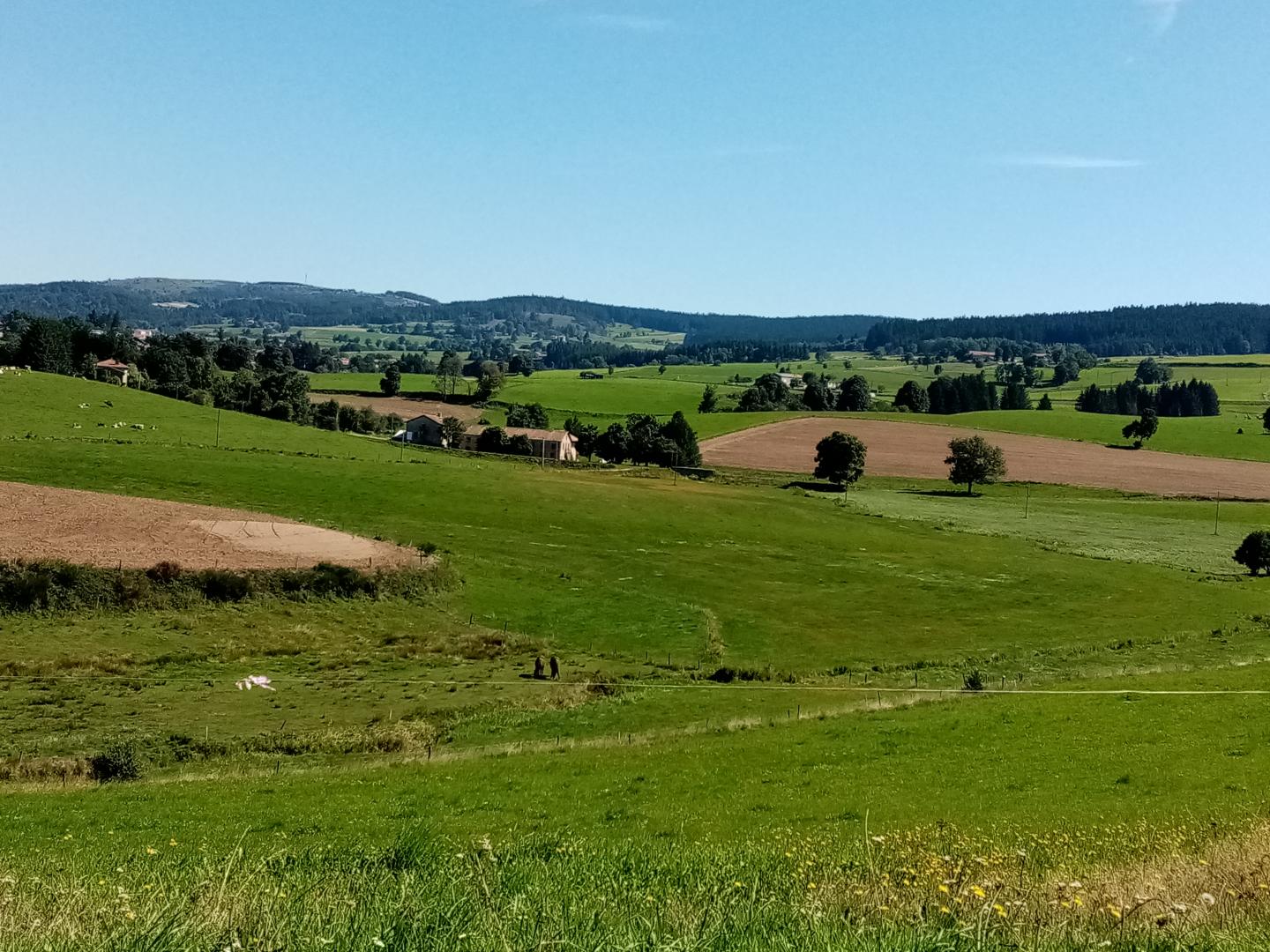 Parc du Pilat - Circuit N°25 : La Faye