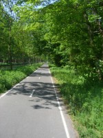 canal de l'ourcq 3