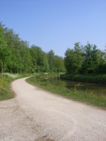 rives du canal de l'Ourcq 4