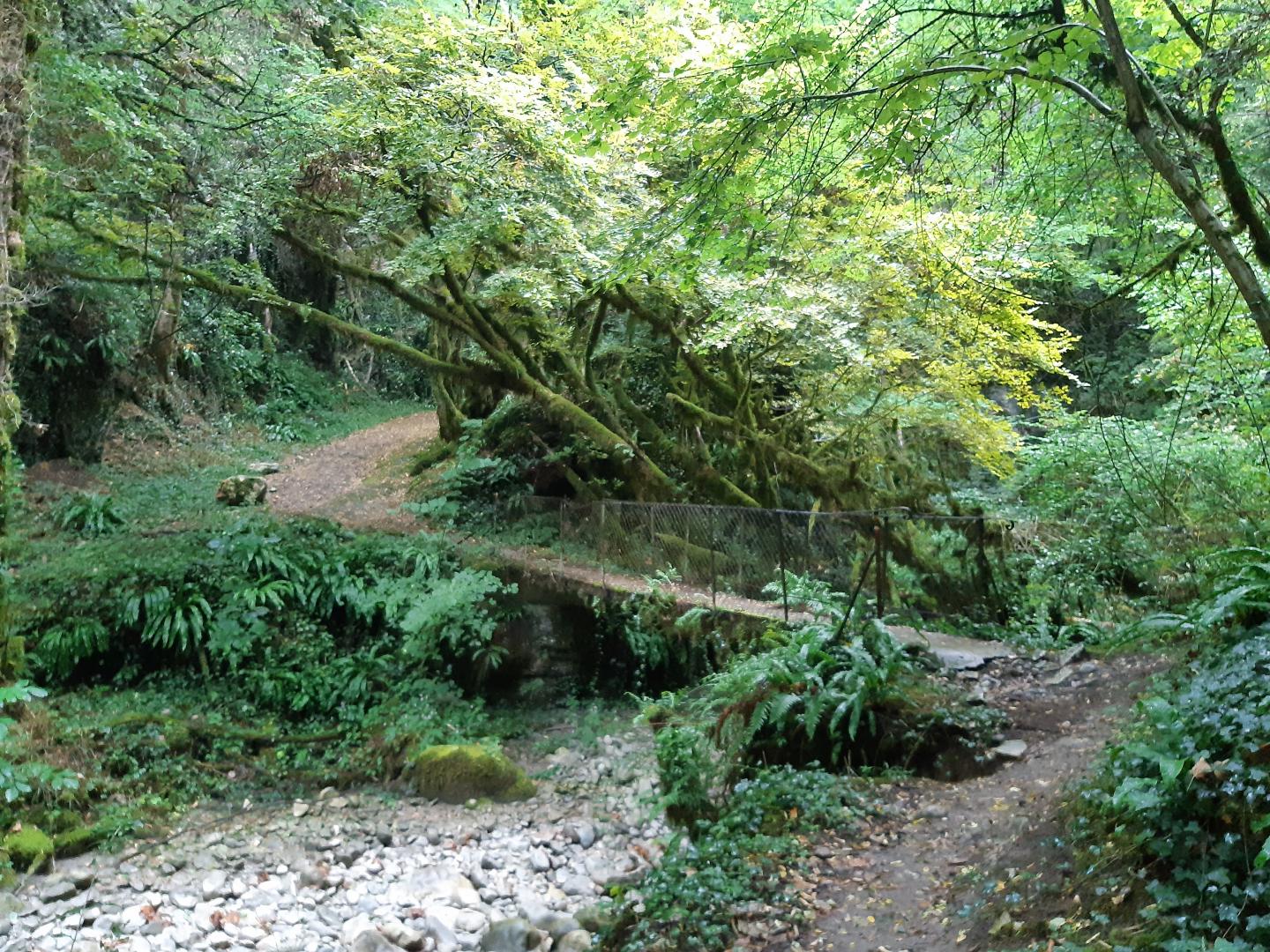 Base VTT-FFCT Royans-Vercors - Circuit N°1 : Les gorges du Chaillard