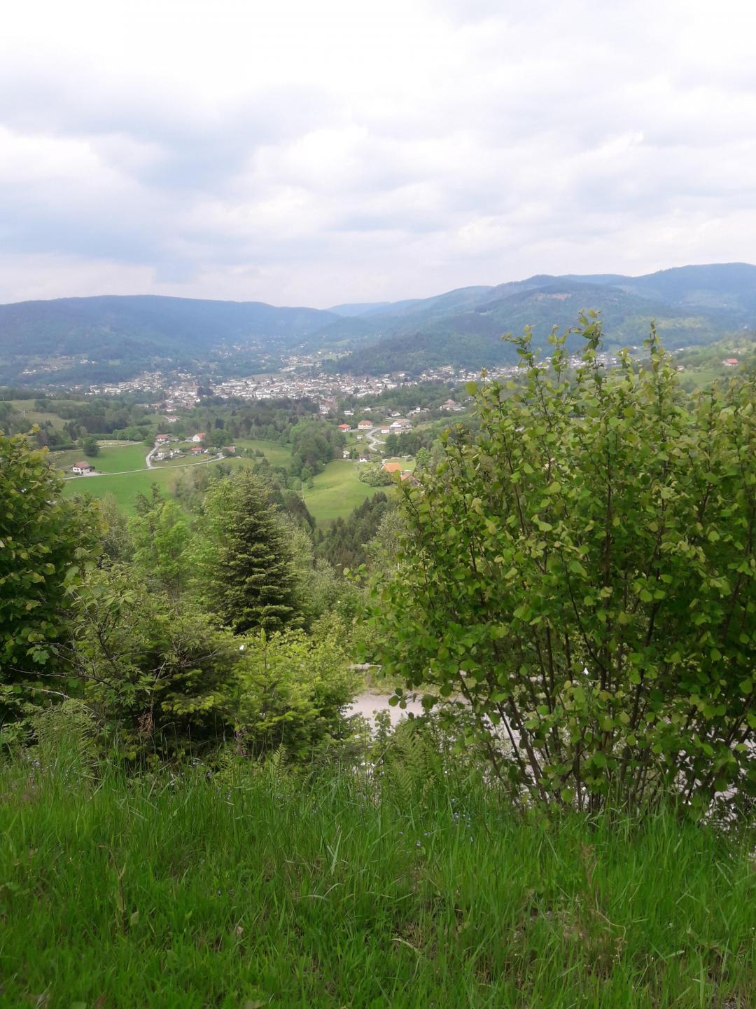 Rupt-sur-Moselle - Circuit N°3 : Linqueny
