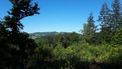 Paysage