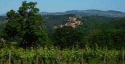 Vue sur Châtillon d'Azergues et son château