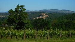 Vue sur Châtillon d'Azergues et son château