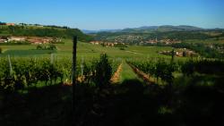 Vignoble et paysage du Beaujolais
