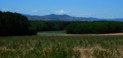 Paysage du Beaujolais