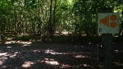 Balisage VTT dans les Bois d'Alix