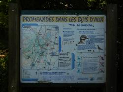 Promenades dans les Bois d'Alix