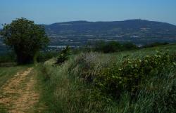 Paysage