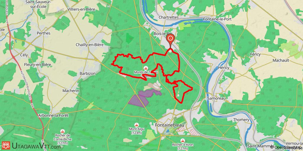 Bois-le-Roi - Forêt de Fontainebleau