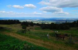 Ferme des Grands Murcins, belle vue sur le Roannais