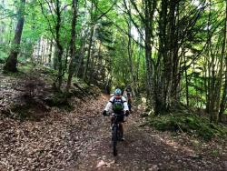 Descente dans la vallée du Rouchain