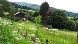 Vue sur un châlet au lieu-dit Le Four