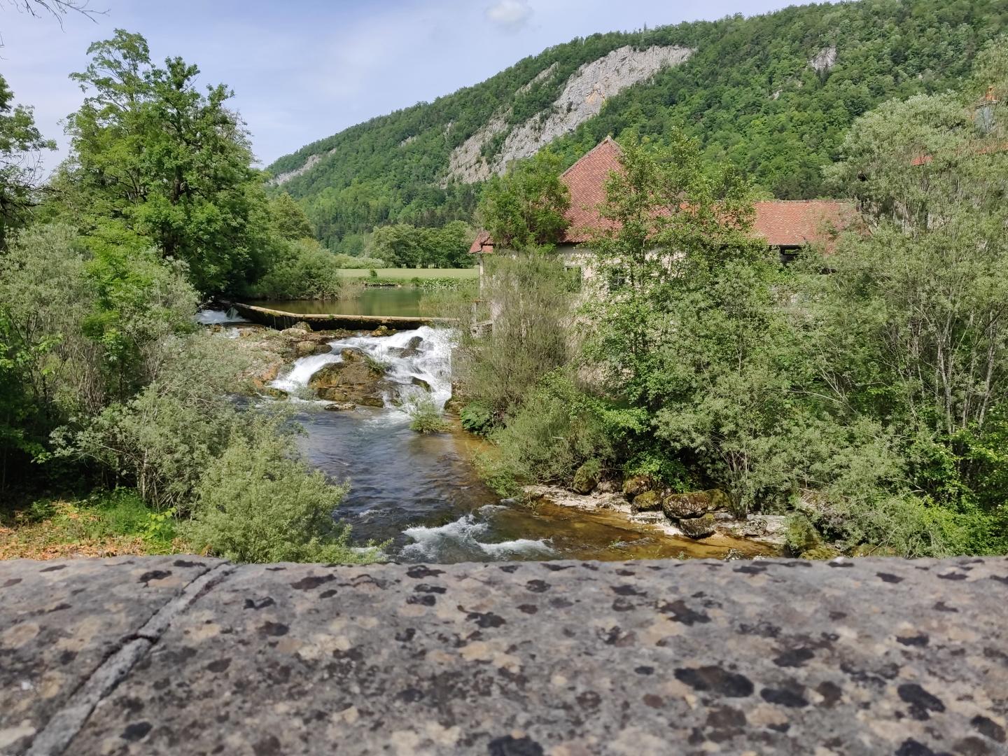 Les pertes de l'Ain