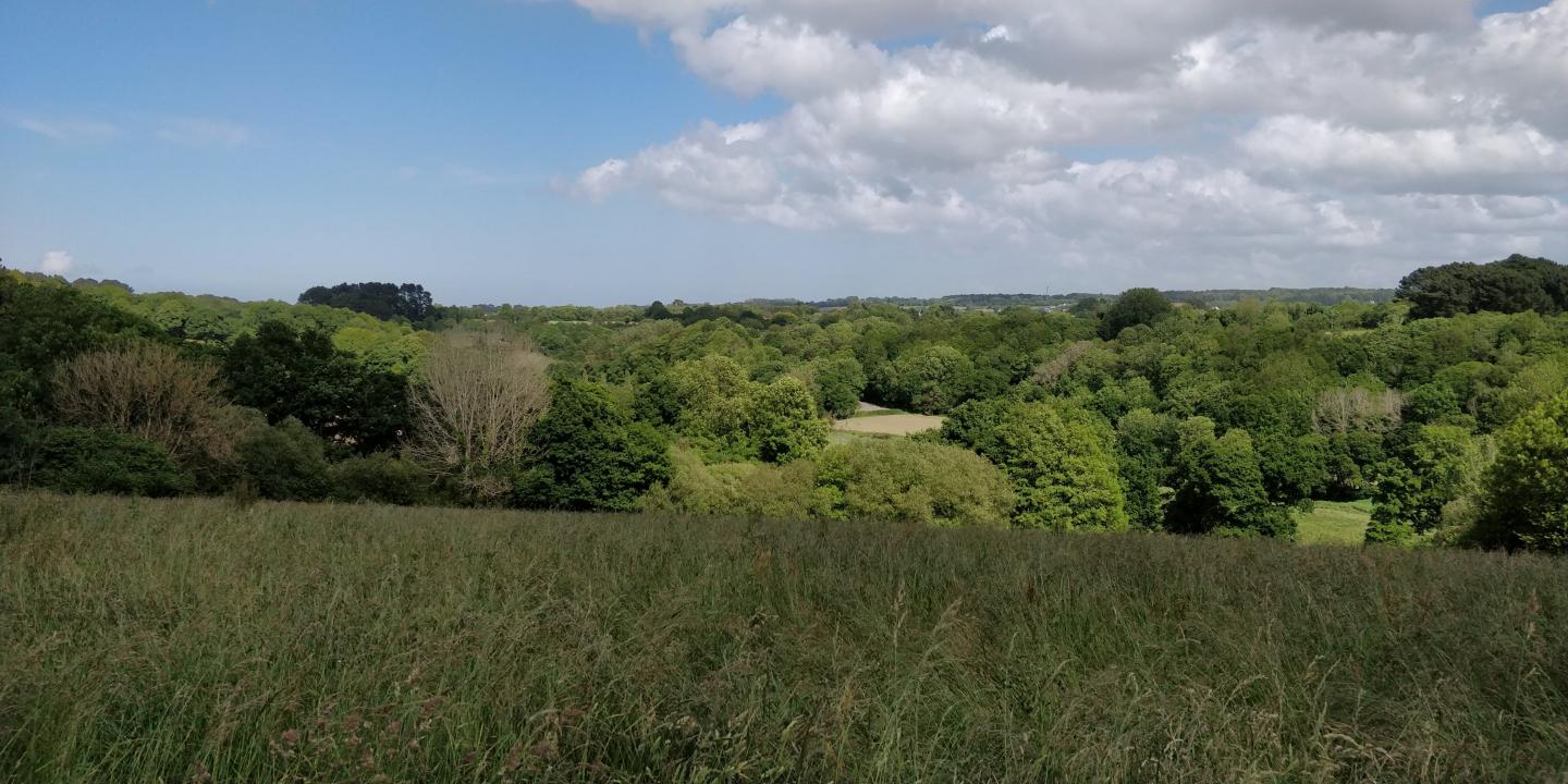 Plestin-les-Grèves - Boucle en bord de rivière