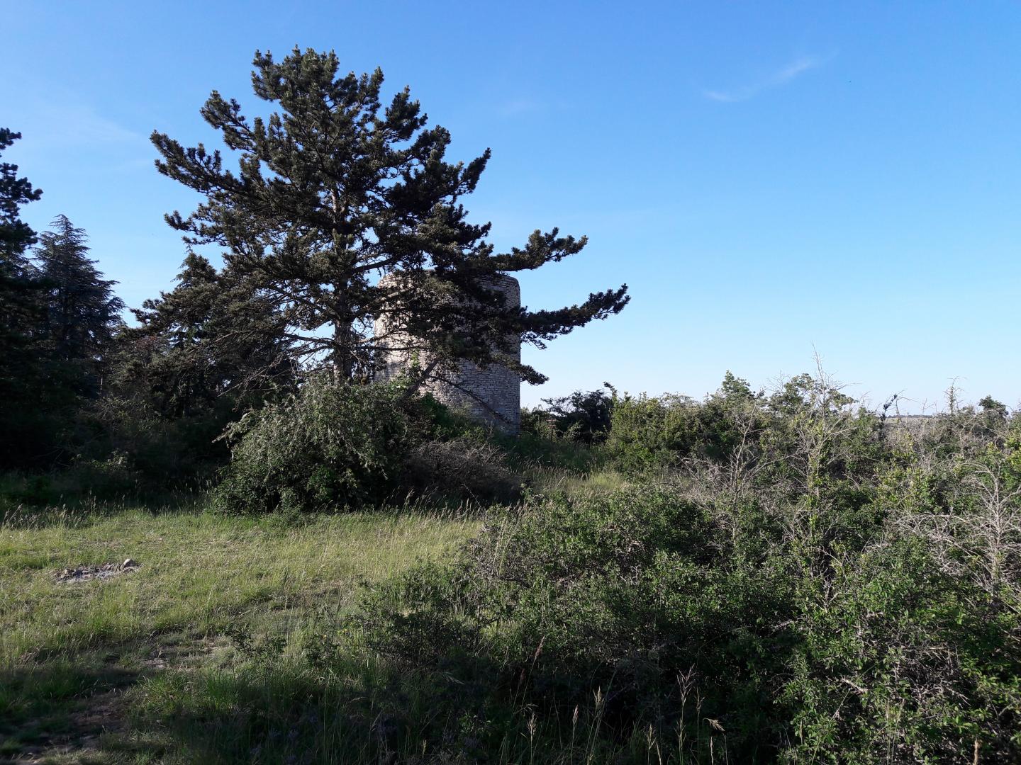 Mont Abon