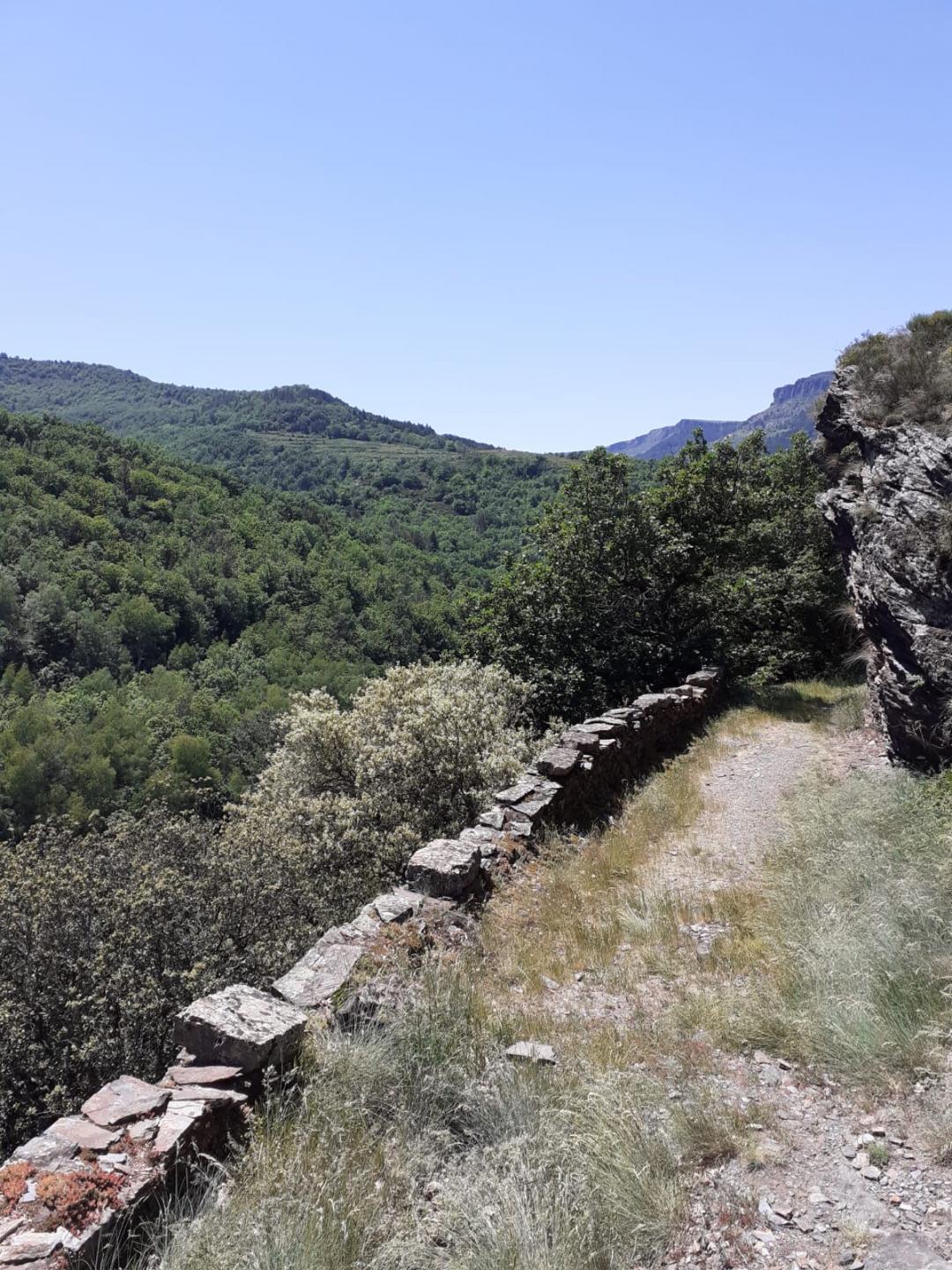 L'Aigoual - Les Vanels