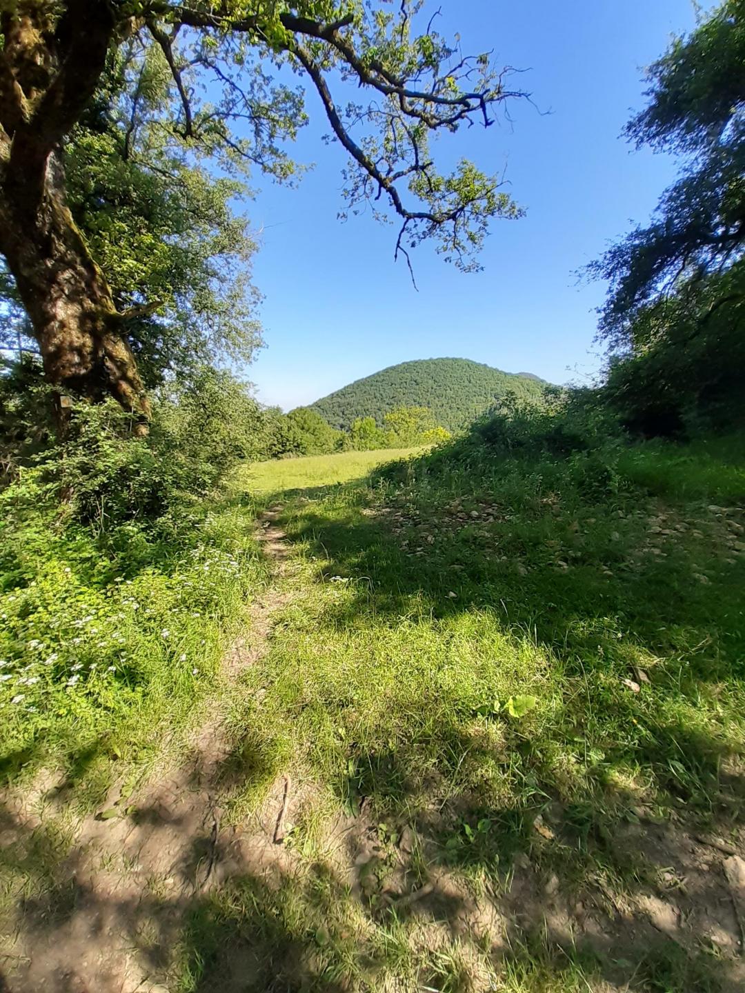 Mont Myon en partant de la Grange du Pin