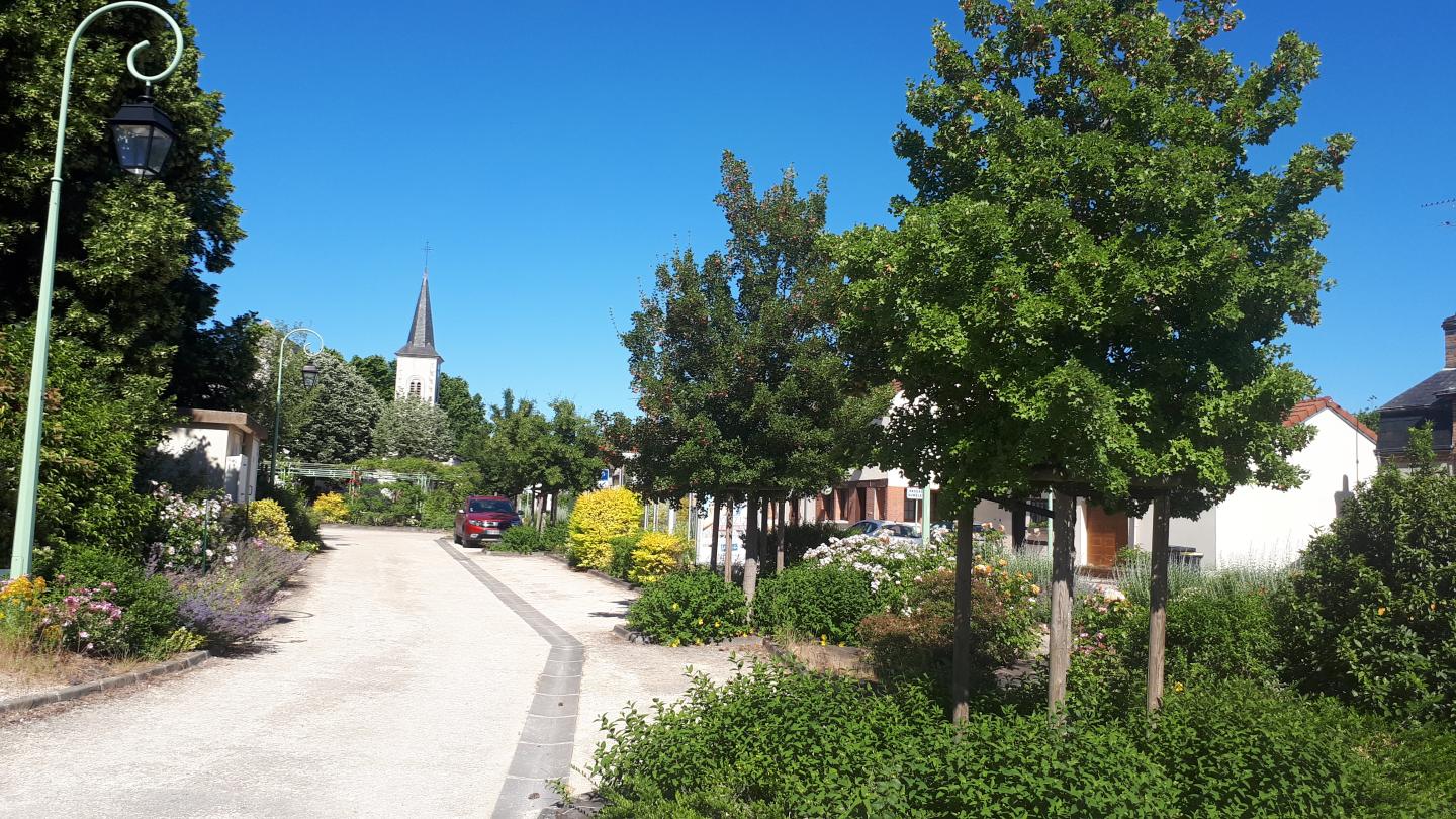 La Sologne au départ d'Ardon
