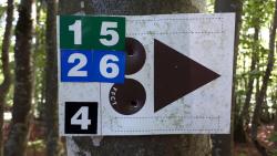 Balisages des circuits VTT au camping des Myrtilles