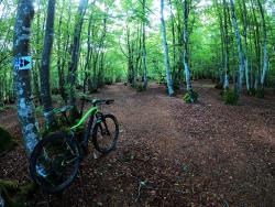 Camping des Myrtilles, départ des circuits VTT