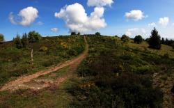 La Verrerie, tourbières, montée à la table d'orientation