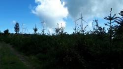Bois Charmette, vue sur les éoliennes