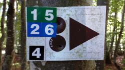 Camping des Myrtilles, base VTT, balisages des circuits