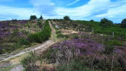 La Verrerie, tourbières, montée à la table d'orientation