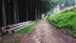Fin de la descente avant Fayot