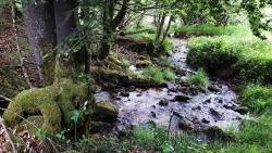 Ruisseau entre Fayot et Les Hormières