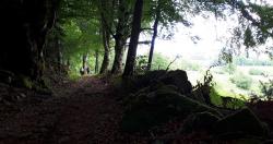 Chemin entre Fayot et Les Hormières