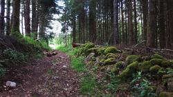 Les Hormières, montée vers l'oratoire