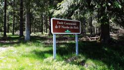 La Verrerie, forêt communale de Saint Nicolas des Biefs