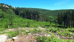 Vue sur la Montagne Bourbonnaise