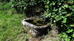 Bachasse à la Croix de Périasse