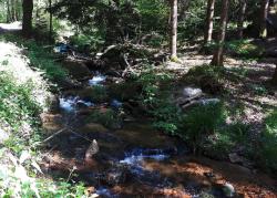 Ruisseau Le Sapey