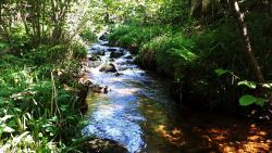 Ruisseau Le Sapey