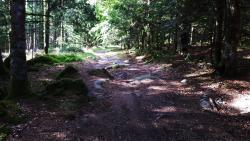 Joli sentier avant la descente pierreuse à La Grande Borne