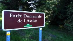 Forêt Domaniale de l'Assise