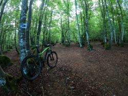 Départ des circuits VTT au camping des Myrtilles