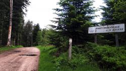Forêt Domaniale de l'Assise
