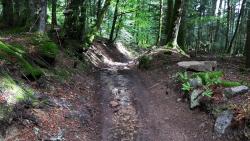 Descente pierreuse vers la Croix du Trève Robin