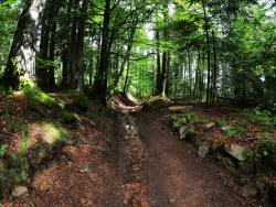 Descente pierreuse vers la Croix du Trève Robin