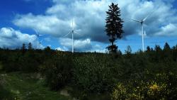 Bois Charmette, vue sur les éoliennes
