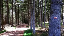 Sur le GR 3A, descente vers St Nicolas des Biefs