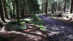 Sur le GR 3A, descente vers St Nicolas des Biefs