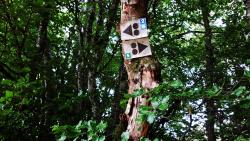 Pancartes des circuits VTT